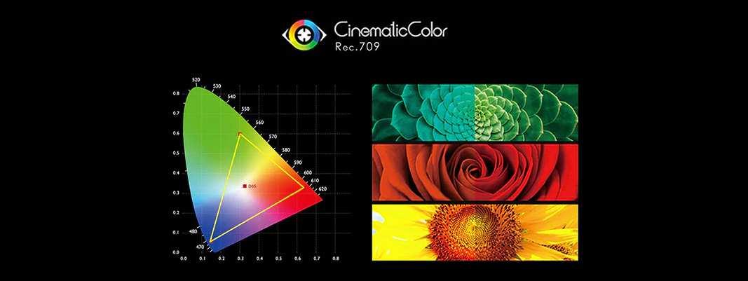 cinematic color rec.709
